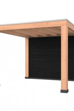 Douglas overkapping, 300 x 300, met achterwand, Westwood Robuust zwart Koop Online